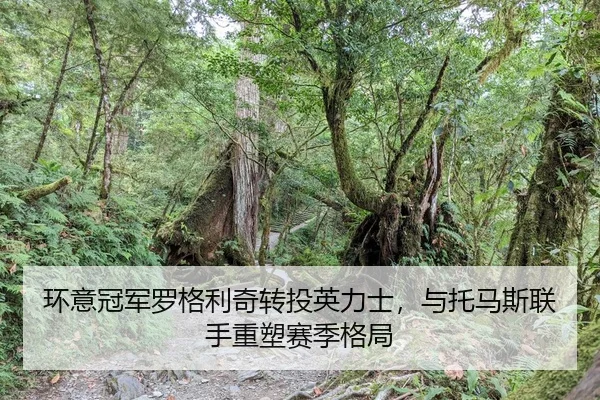 huan-yi-guan-jun-luo-ge-li-qi-zhuan-tou-ying-li-shi-yu-tuo-ma-si-lian-shou-zhong-su-sai-ji-ge-ju-2-180.jpg